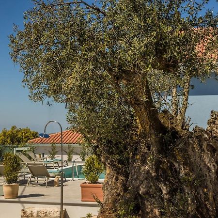 Summertime Villas Argostoli  Ngoại thất bức ảnh
